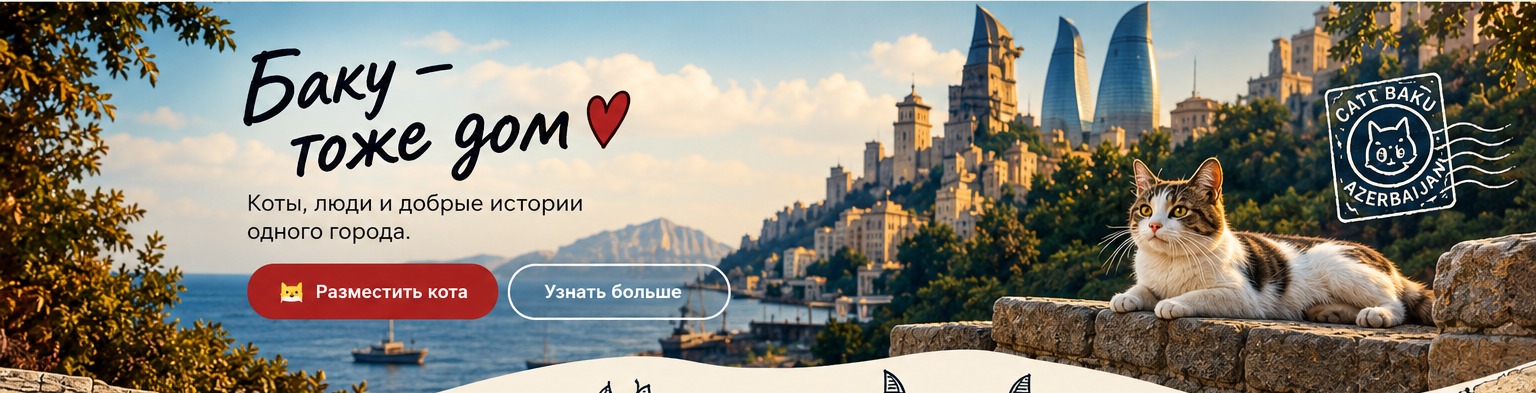 Баку — тоже дом. Коты, люди и добрые истории одного города.